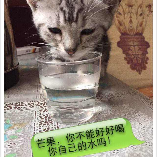 办理美国中部浸会神学院文凭毕业证